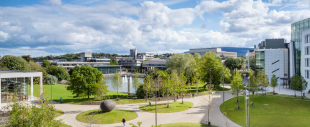 Belfield Campus, UCD